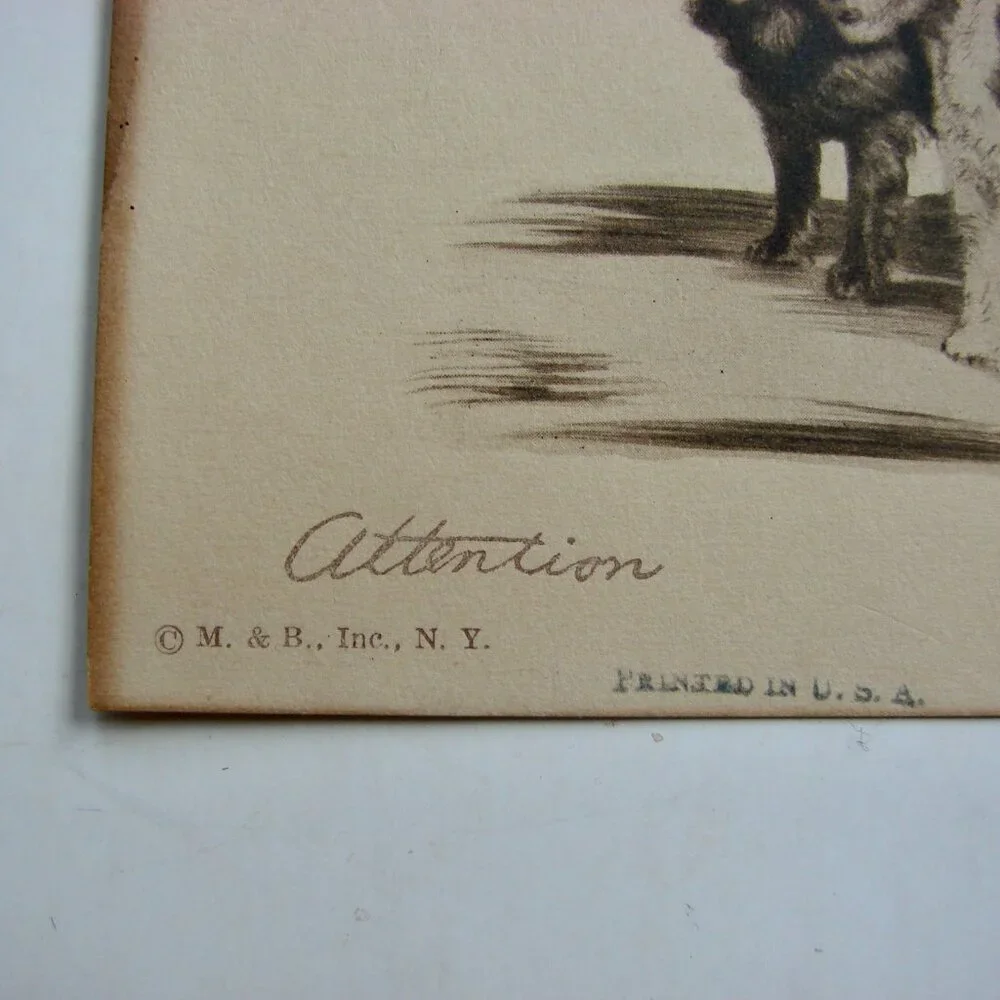 Vintage Antique Dog Art Etching Prints Terriers Chow Samoyed New York 5" x 4" - Picture 4 of 11